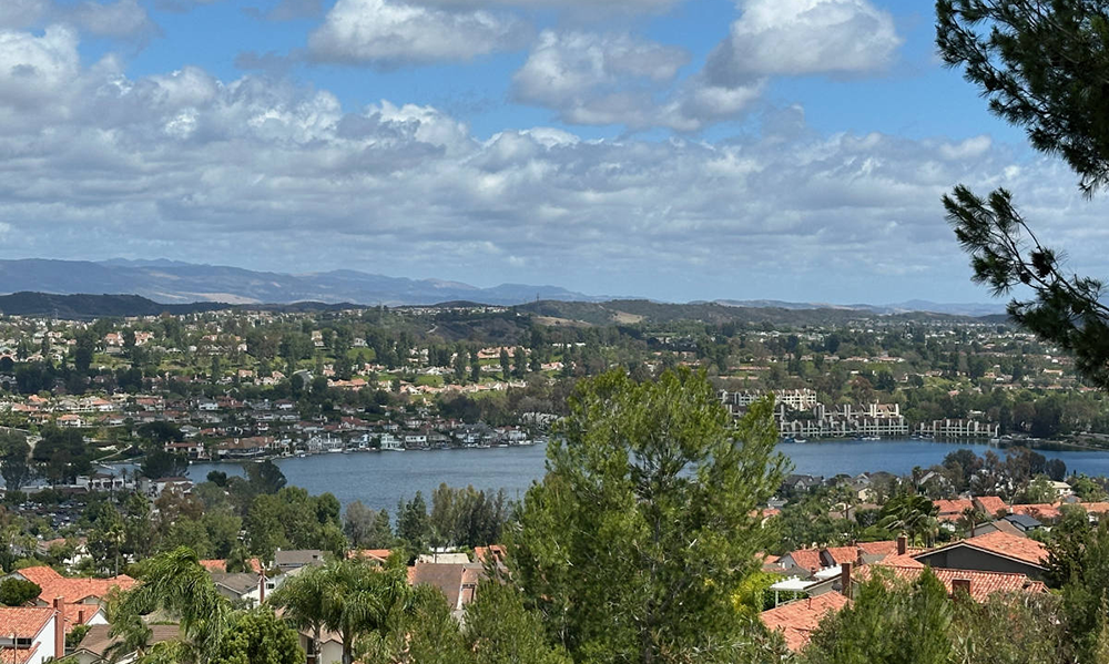 View from the Top