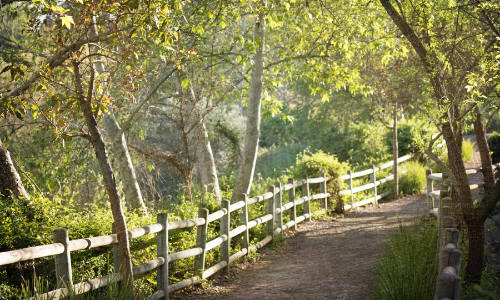 Oso Creek Trail: Explore Mission Viejo’s Natural Gem