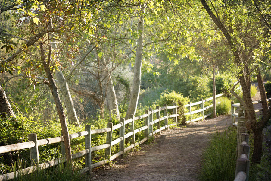 Mission Viejo's Oso Creek Trail