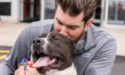 Pet Insurance 101: A Guide for Dog and Cat Owners